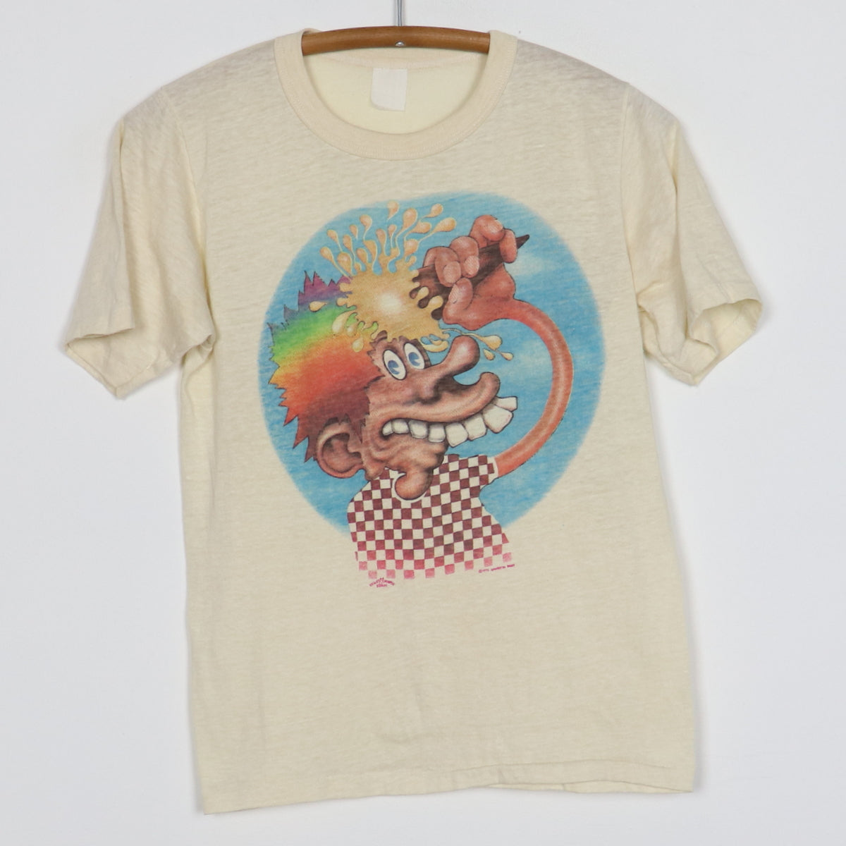 Grateful Dead Skeleton Mountain and Sun Concert T-Shirt, Collectible