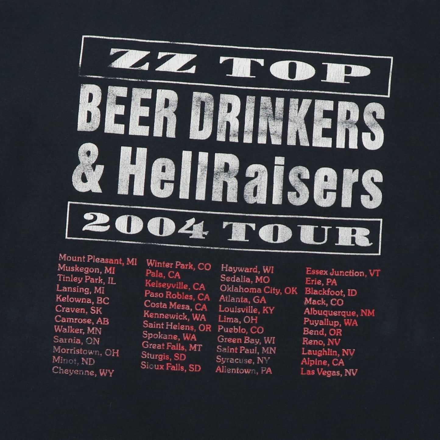 2004 ZZ Top Beer Drinkers & Hell Raisers Tour Shirt