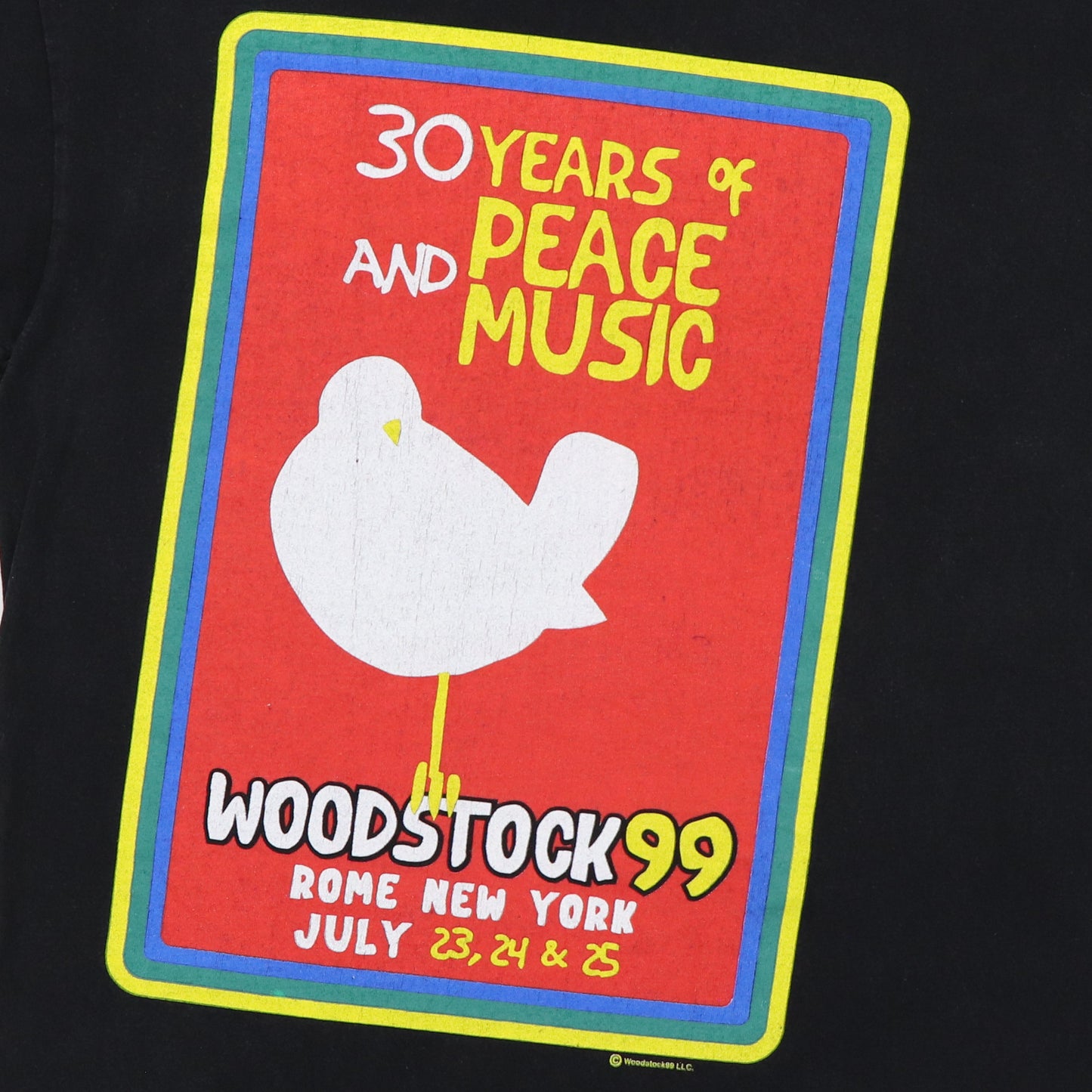 1999 Woodstock Music Festival Concert Shirt