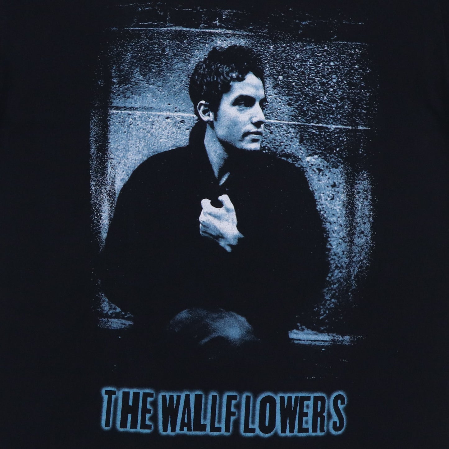 1990s The Wallflowers Tour Shirt