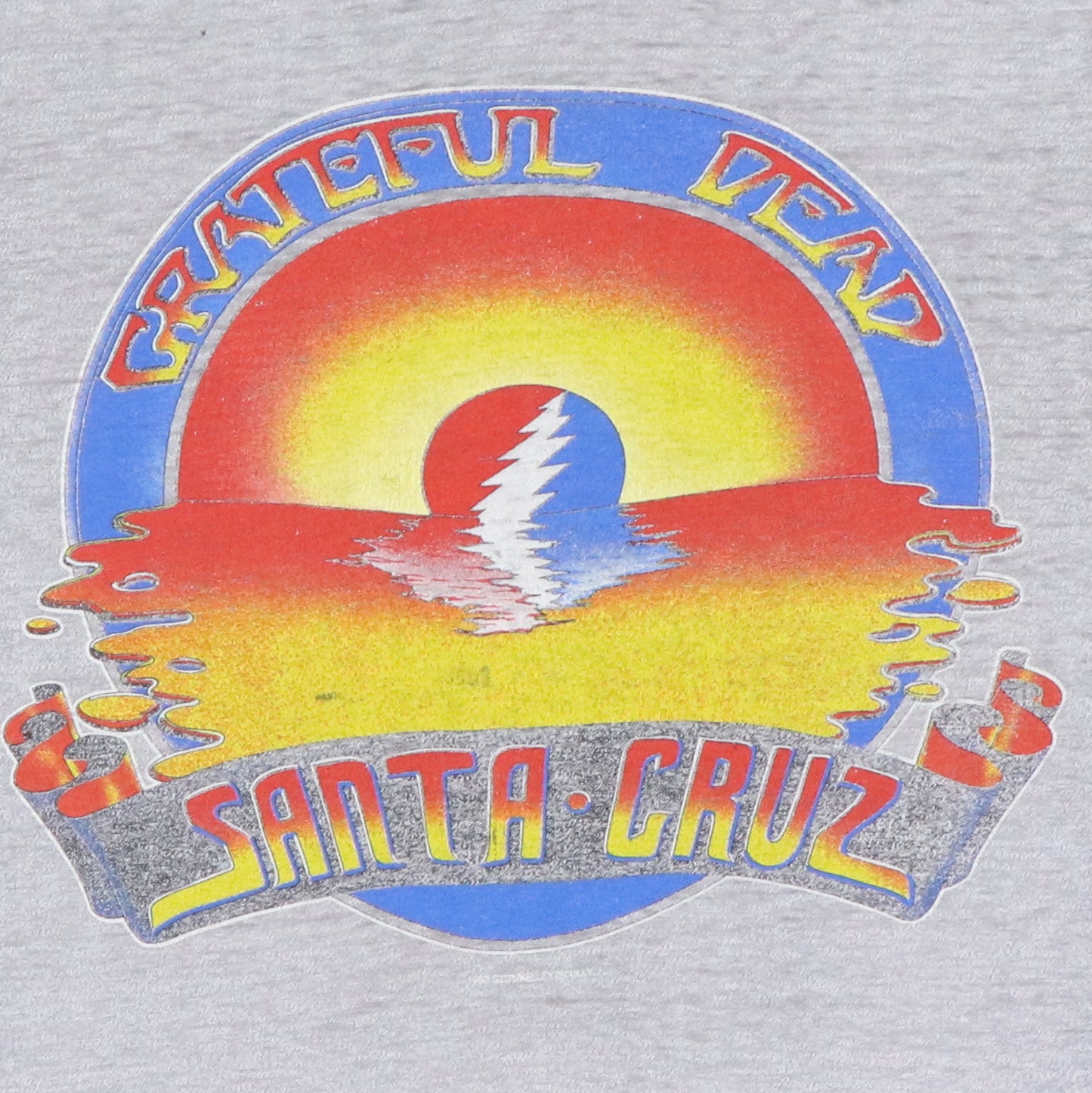 1983 Grateful Dead Santa Cruz Sleeveleless Concert Shirt