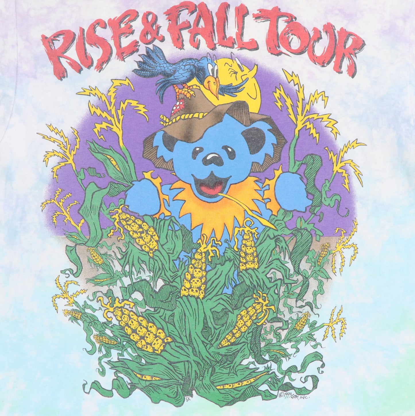 1993 Grateful Dead Rise & Fall Tour Tie Dye Shirt