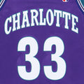 1990s Alonzo Mourning Charlotte Hornets Jersey