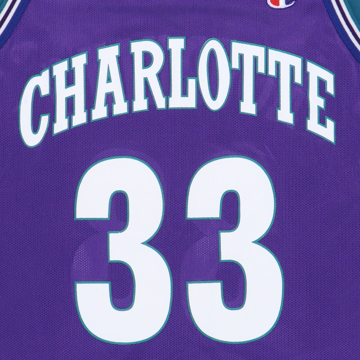 1990s Alonzo Mourning Charlotte Hornets Jersey