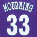 1990s Alonzo Mourning Charlotte Hornets Jersey