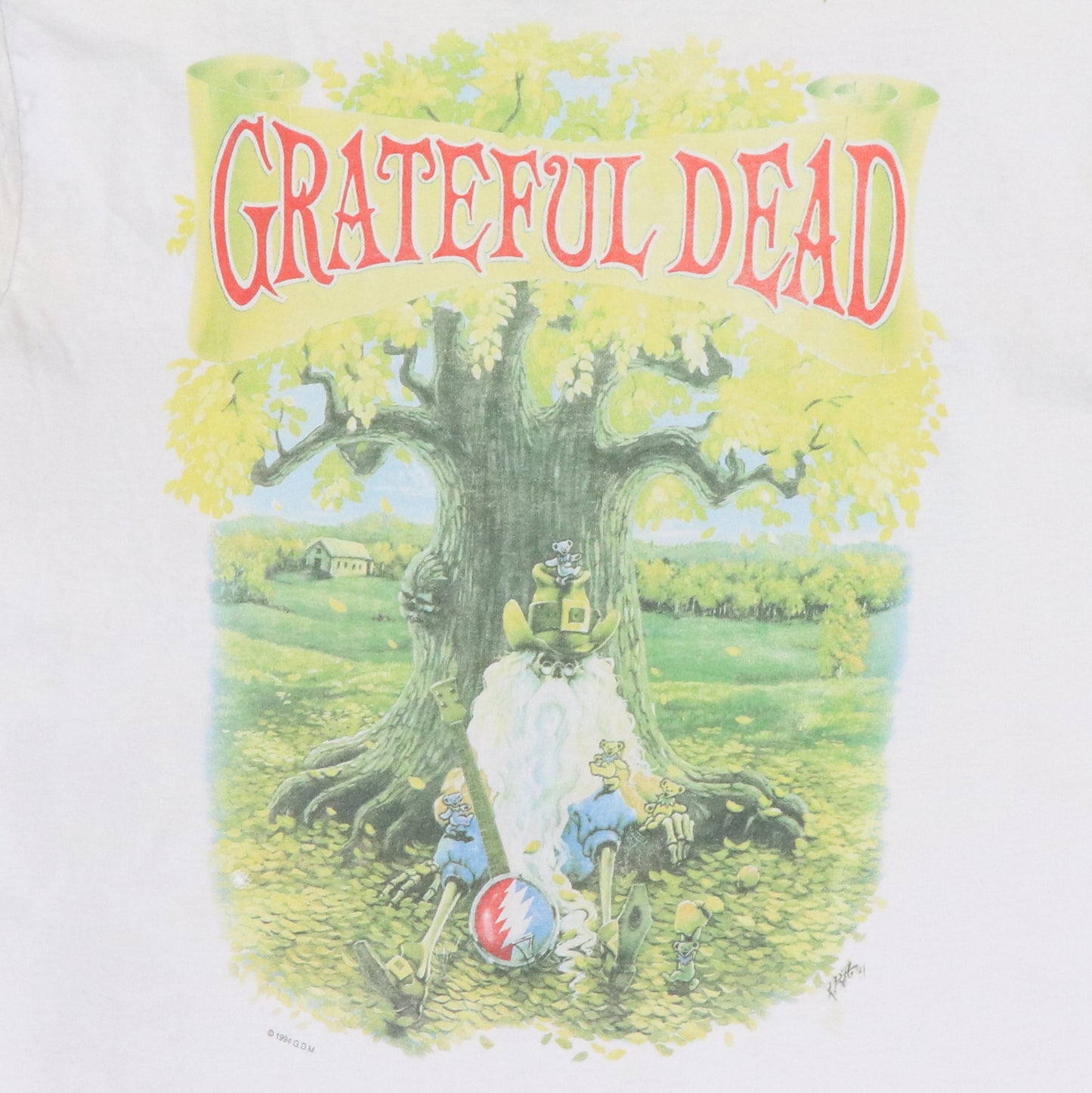 1994 Grateful Dead Madison Square Garden Concert Shirt