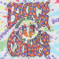 1993 Black Crowes High As The Moon Tour Tie Dye Shirt