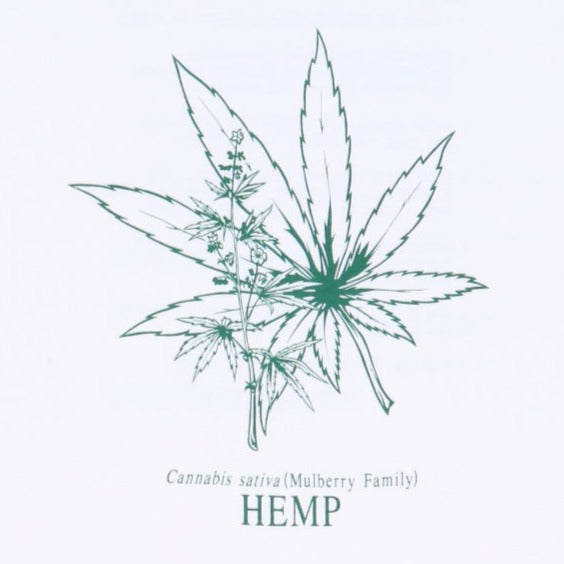 1990s Cannabis Sativa Hemp Facts Shirt