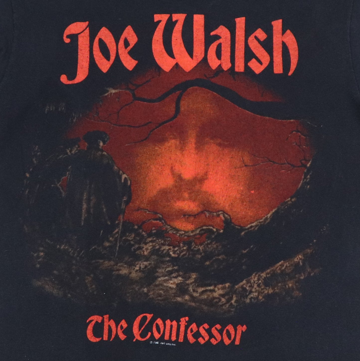 1985 Joe Walsh The Confessor Tour Shirt