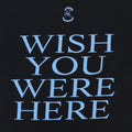 2001 Pink Floyd Wish You Were Here Shirt