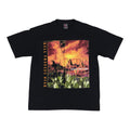 1995 Eagles Hell Freezes Over World Tour Shirt