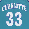 1990s Alonzo Mourning Charlotte Hornets NBA Basketball Jersey