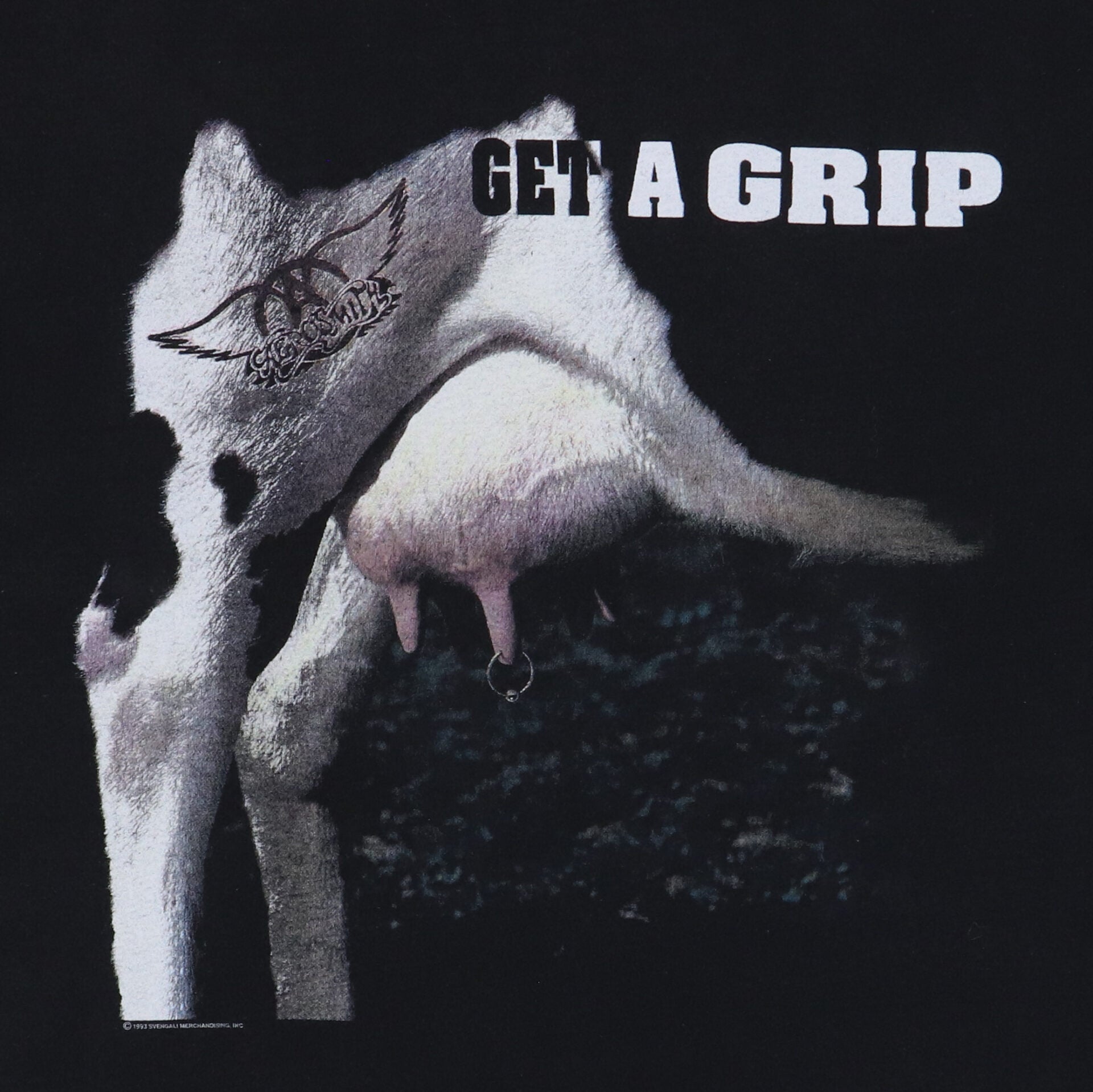 1993 Aerosmith Get A Grip Tour Shirt – WyCo Vintage