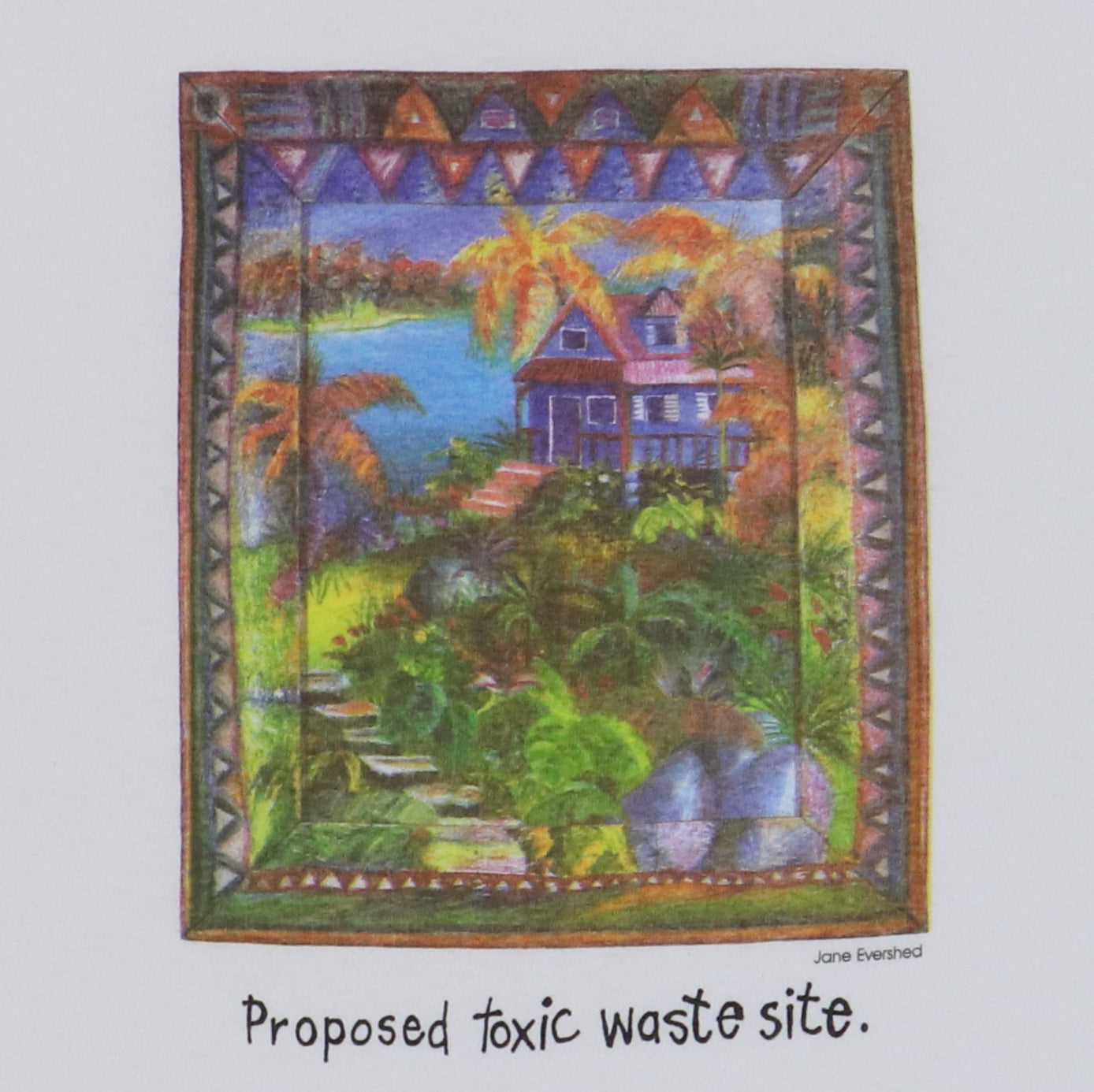 1990s Proposed Toxic Waste Site Jane Evershed Shirt