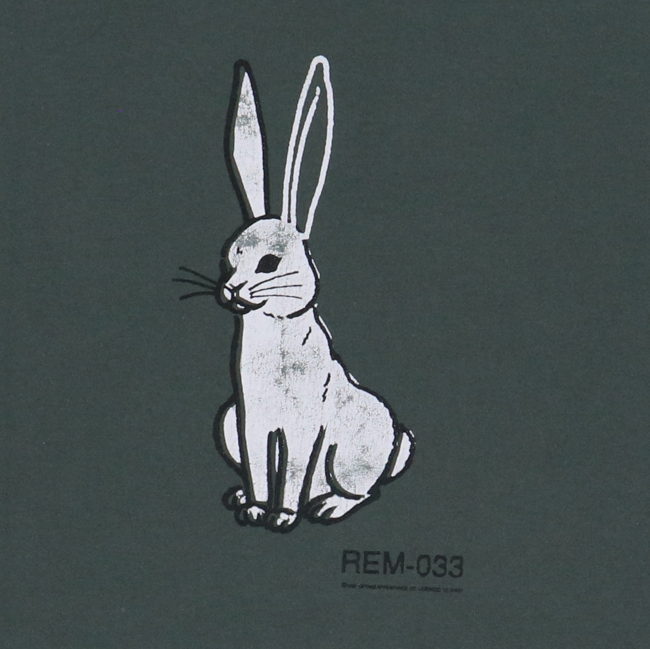 純正買付1999年物 R.E.M. rem レム ヴィンテージ Tシャツ REM-033 トップス