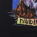 1988 David Lee Roth Skyscraper World Tour Shirt