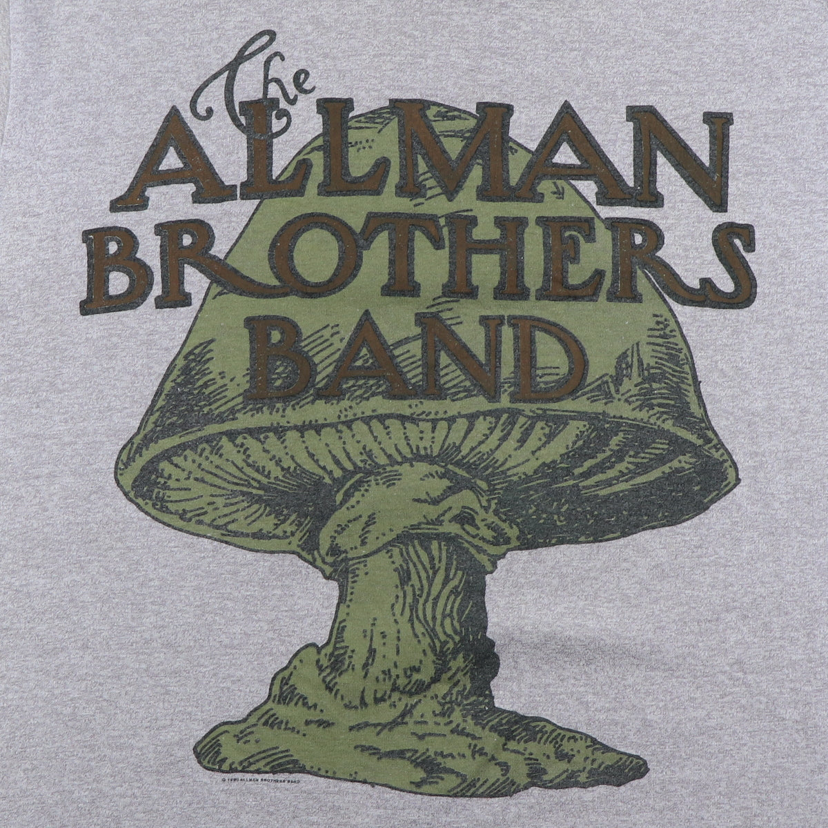 1990 Allman Brothers Seven Turns Tour Shirt – WyCo Vintage