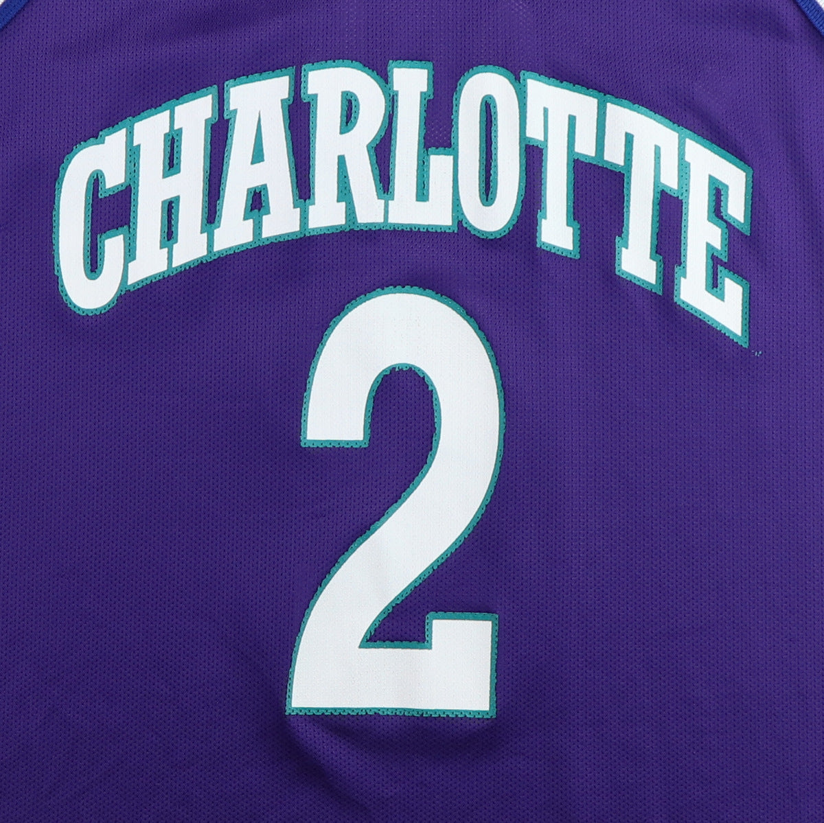 Wyco Vintage 1990s Larry Johnson Charlotte Hornets Basketball Jersey