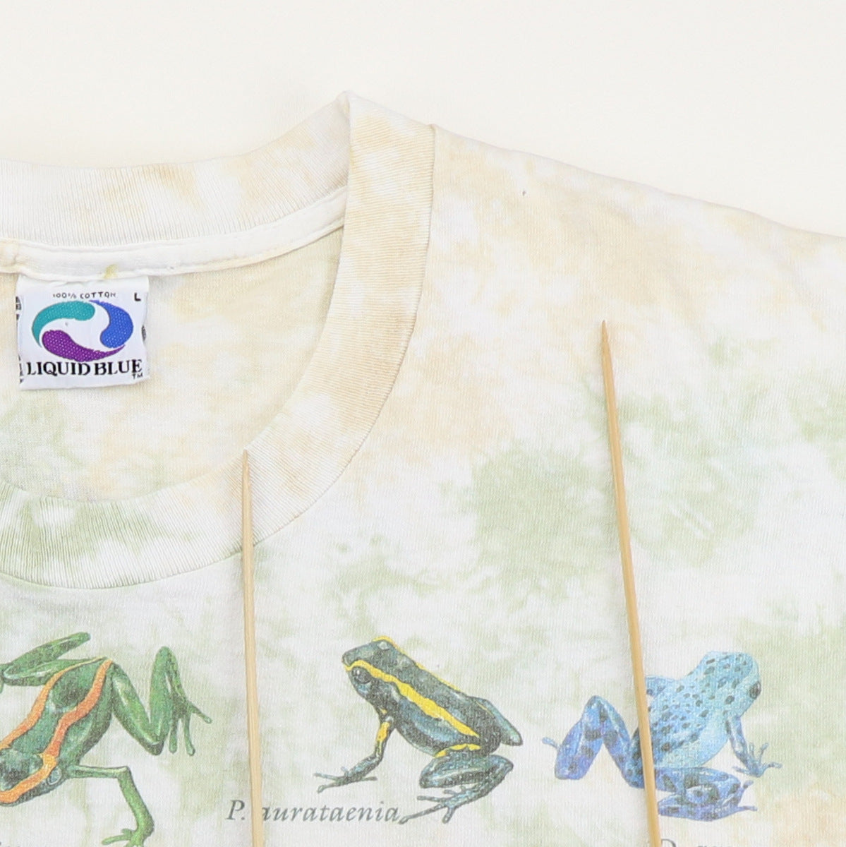 1993 Rainforest Frogs Liquid Blue Tie Dye Shirt