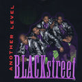 1996 Blackstreet No Diggity No Doubt World Tour Shirt