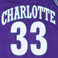 1990s Alonzo Mourning Charlotte Hornets NBA Basketball Jersey