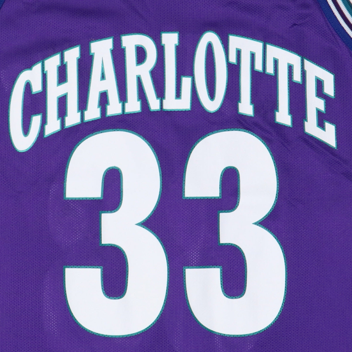 Vintage 90s Charlotte HORNETS Basketball Jersey Johnson Nba 40