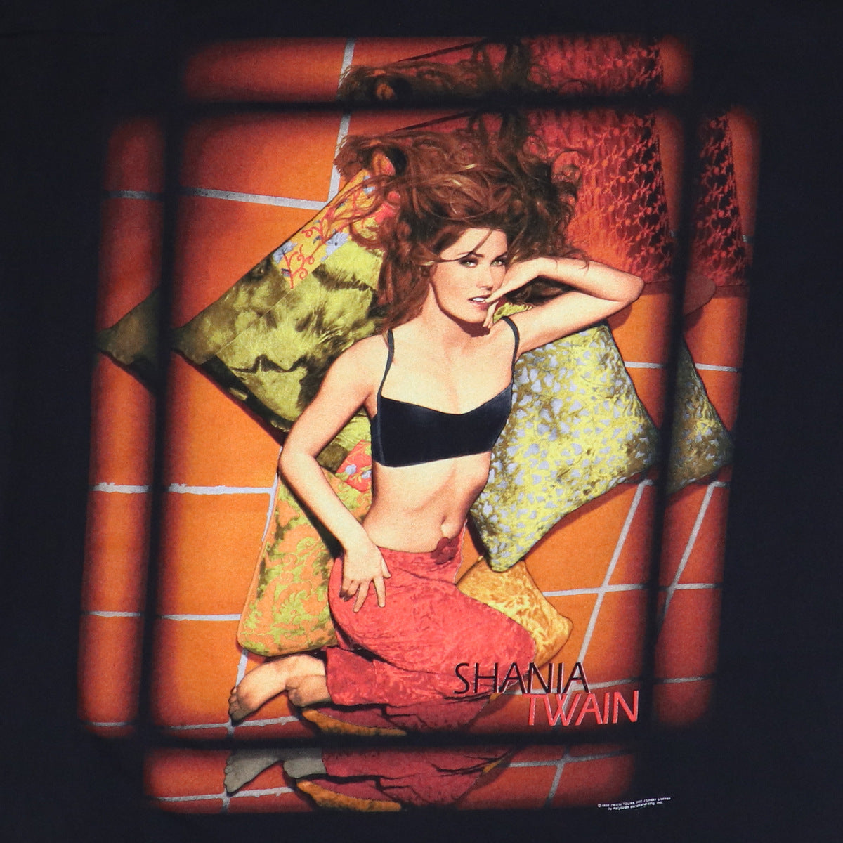 1998 Shania Twain Shirt – WyCo Vintage